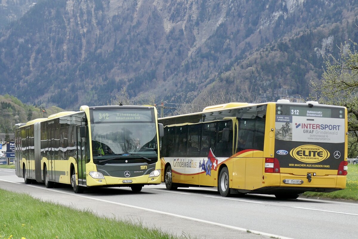 Der MB C2 G 170 der STI trifft den MAN Lions City  BE 356 085  von GrindelwaldBus am 23.4.23 in Wilderswil.