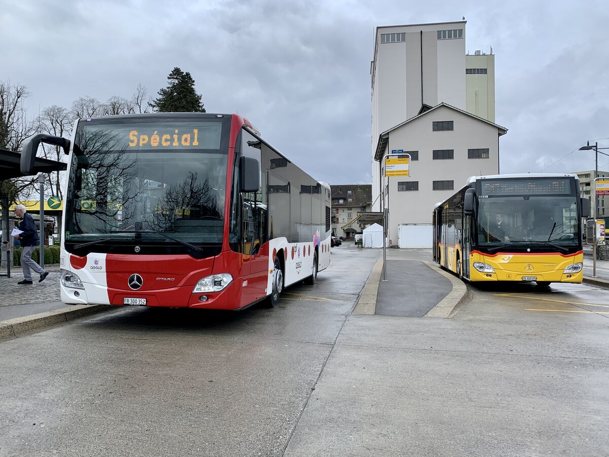 Der MB C2 K 6003 der TPF und MB C2 hybrid '11558' vom PU Wieland Bus, Murten am 31.3.22 beim Bahnhof Düdingen.