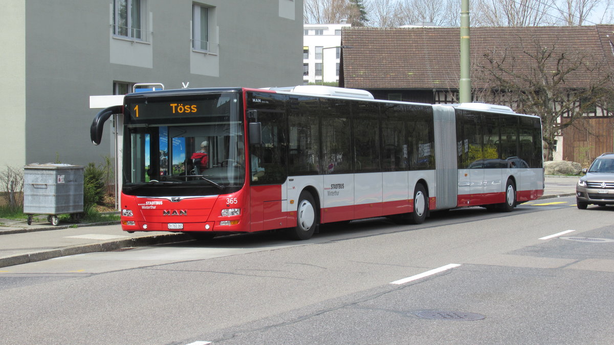 Der Neueste Stadtbus Nr. 365 (MAN A40, Lion's City GL, 2019) am 6. April 2019 bei der Haltestelle Zinzikon in Oberwinterthur.