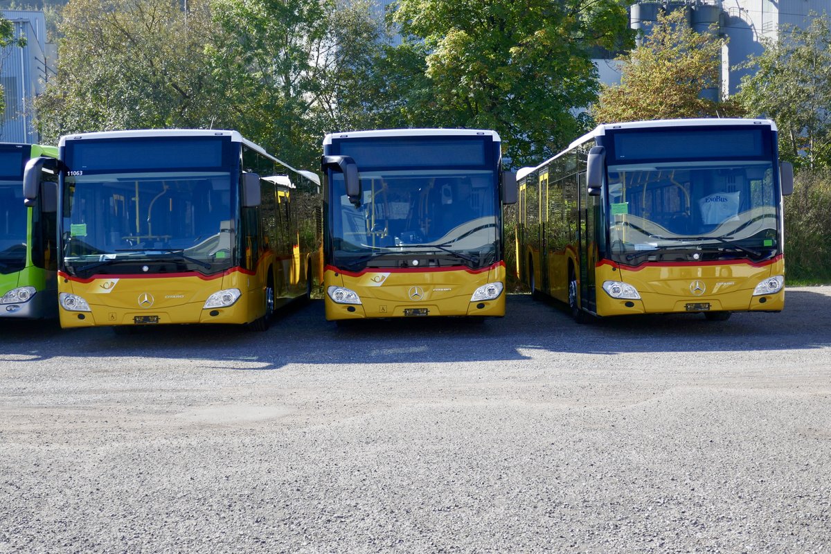 Die Drei neuen MB C2 für PostAuto am 13.10.18 bei Evobus in Kloten abgestellt.