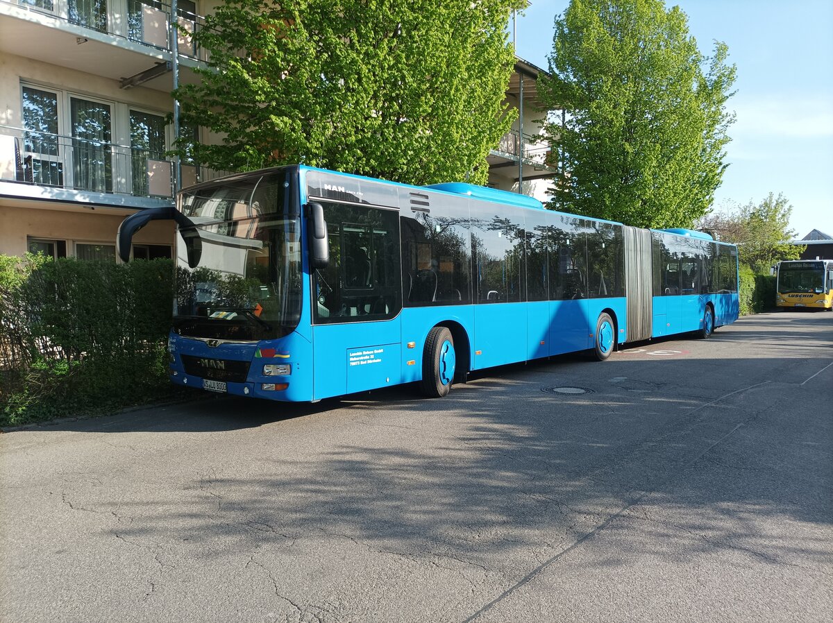 Die Frontansicht  Luschin MAN Lions City Gelenkbusses am 21.04.2022 in Lörrach Karl Herbster Platz