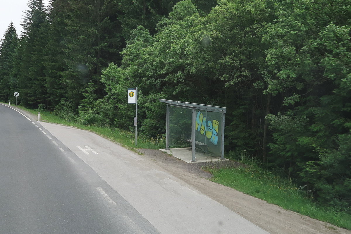 Die Haltestelle Anras Margarethenbrücke an der Pustertalerstraße scheint mitten im Wald zu liegen, hat aber über einen Fußweg Verbindung zum gleichnamigen Anraser Ortsteil. Aufgenommen 10.6.2019.