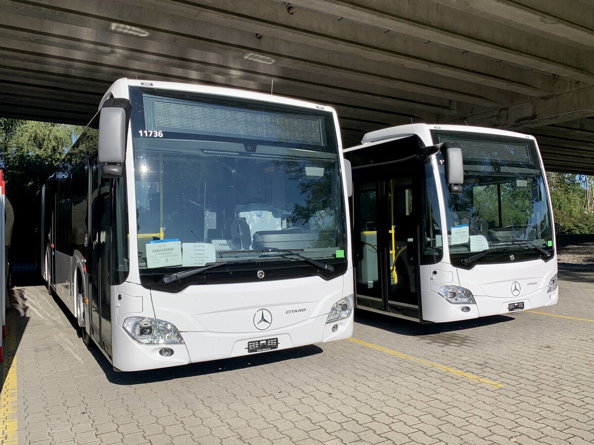 Die zwei neuen MB C2 G Ü hybrid '11736' und '11737' für die PostAuto Regie Delemont am 24.9.21 bei Interbus in Kerzers.