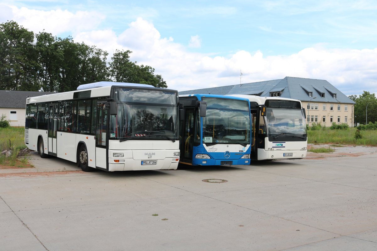Drei ältere Busse am 15.06.19 in Erlensee auf dem ehemaligen Fliegerhorst der US Army. Dort stehen viele Busse von RackTours und BRHVias Bus. Ich durfte durch Nachfrage eines Mitarbeiters Fotos machen