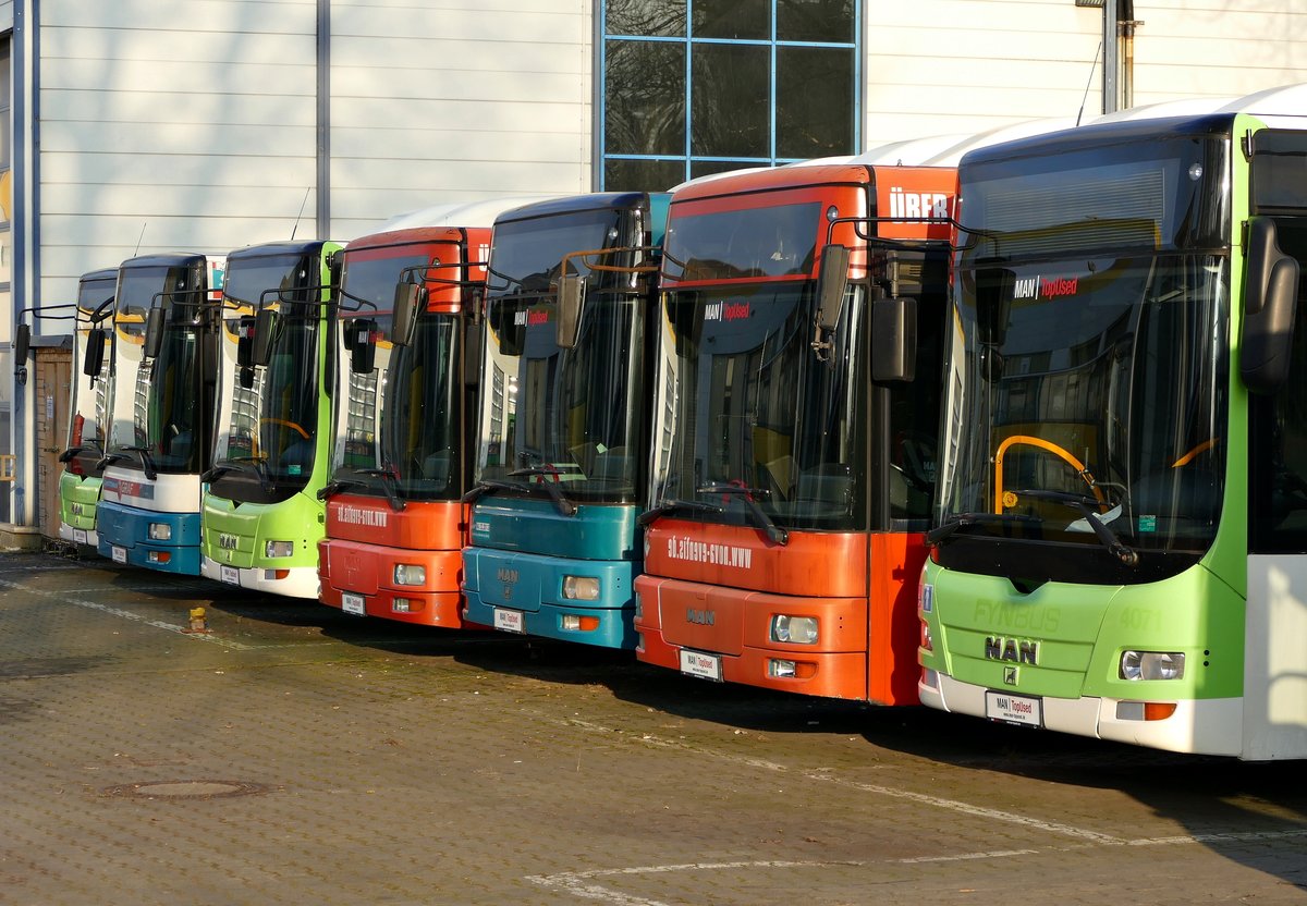 Drei MAN Lion's City (1.& 3. von links, sowie 1. v.rhs.) für FYNBus.dk neben anderen MAN Fahrzeugen, Berlin -Spandau im Januar 2018