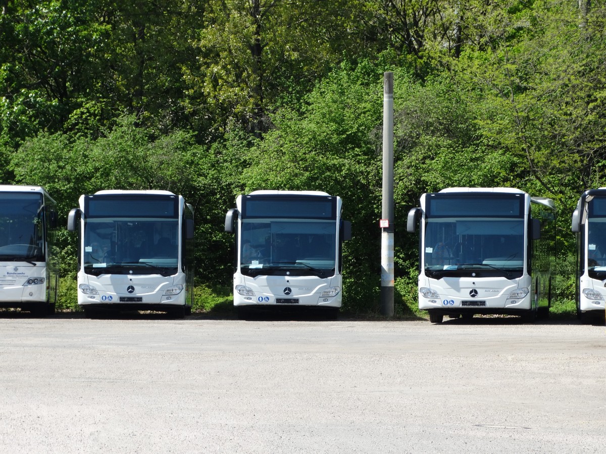 Drei neue Mercedes Benz Citaro C2 am 24.04.15 bei Evo Bus in Mannheim durch den Zaun fotografiert
