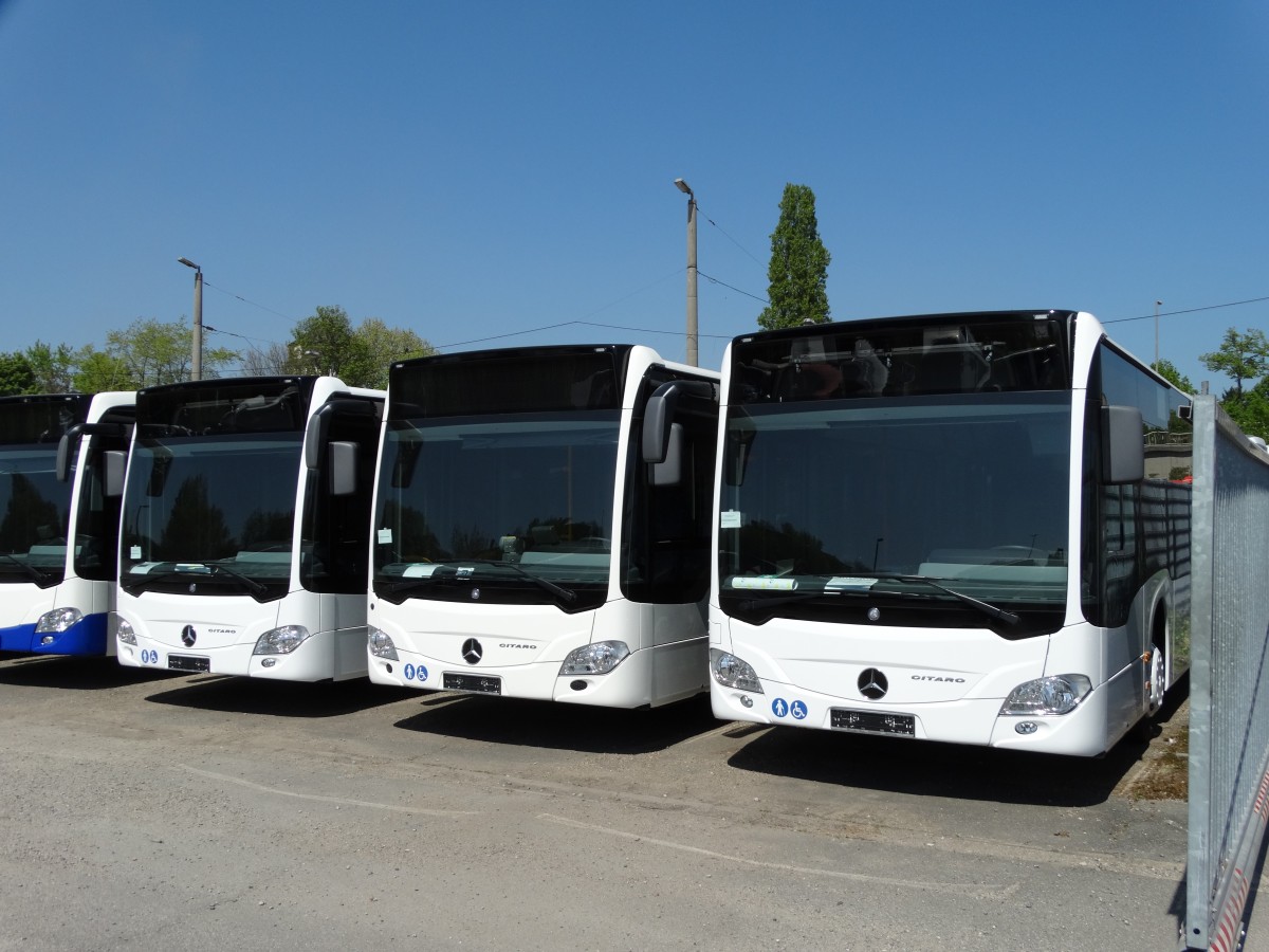 Drei neue Mercedes Benz Citaro C2 am 24.04.15 bei Evo Bus in Mannheim durch den Zaun fotografiert