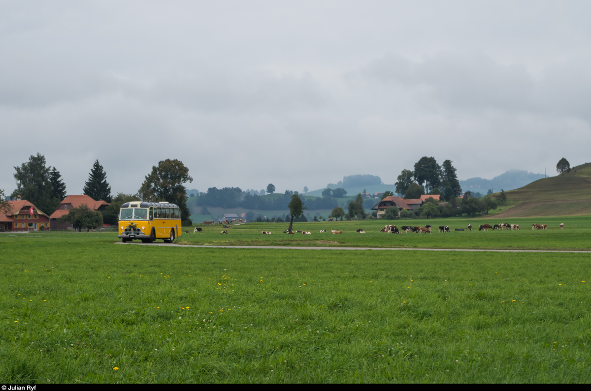 Ein historisches Saurer-Postauto am 13. September 2015 bei Schwarzenburg.