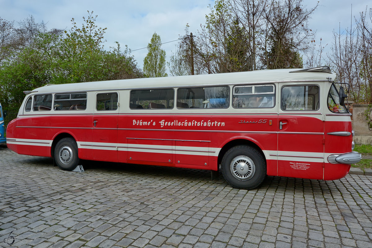 Ein Ikarus 55 im April 2017 in Dresden.