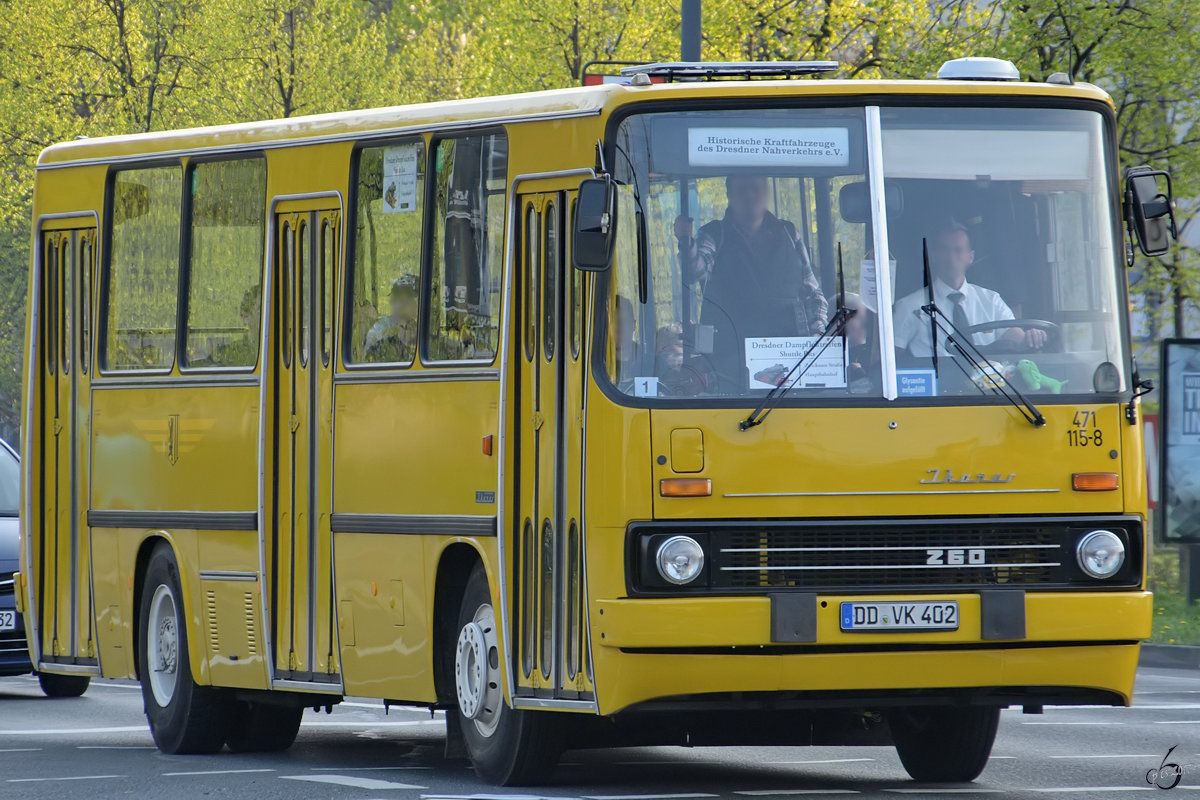 Ein Ikarus Z60 im April 2017 in Dresden.