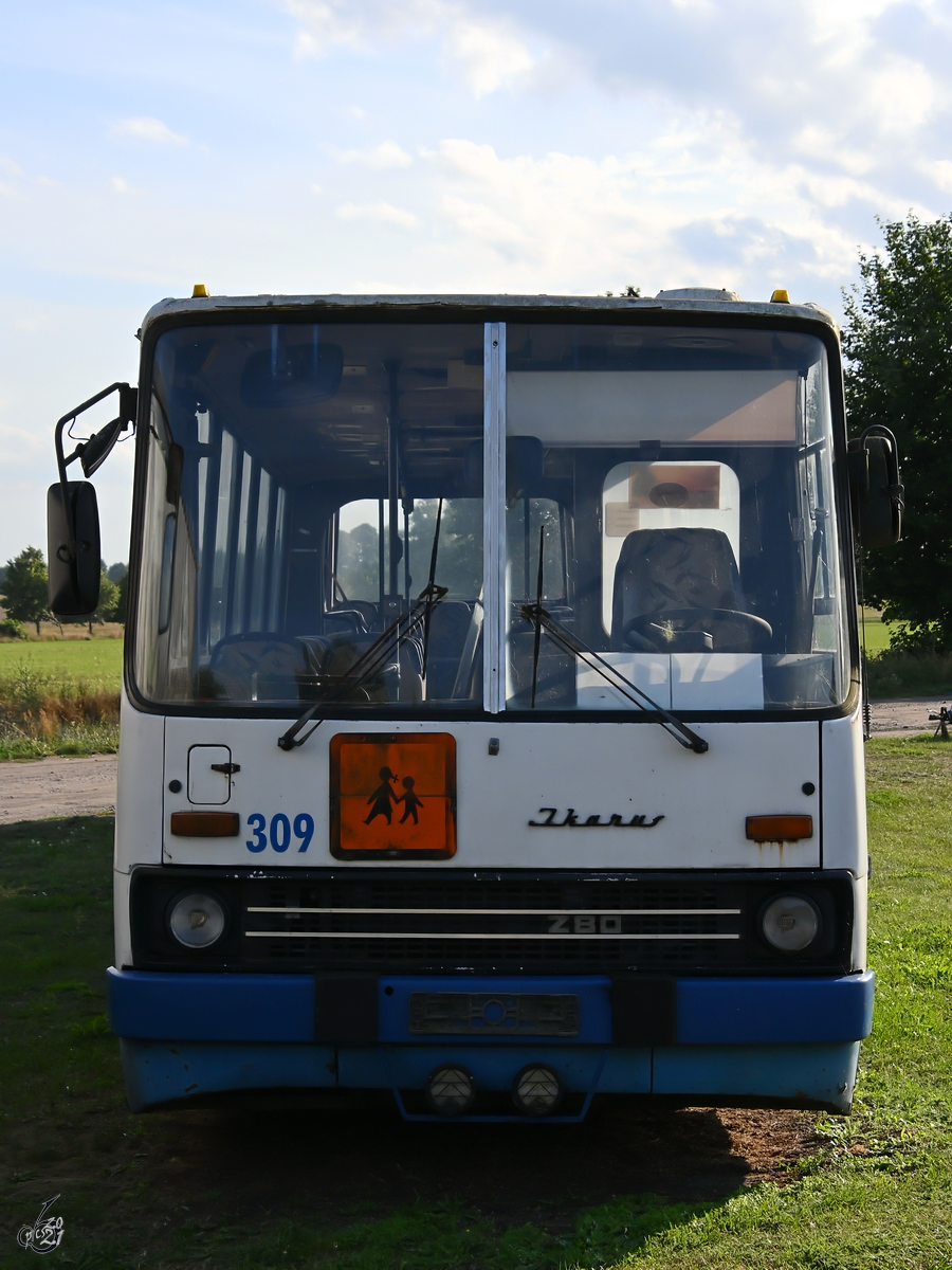 Ein Ikarus Z80 (280) war Mitte August 2021 im DDR-Museum Dargen zu sehen.
