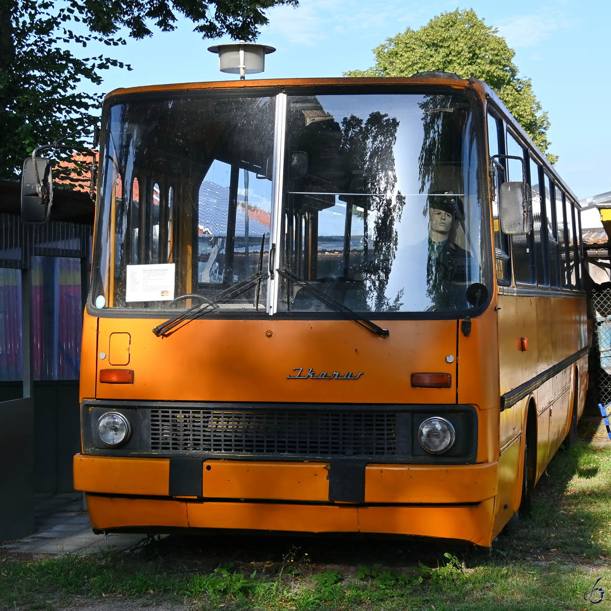 Ein orangener Ikarus Z60 (260) wie dieser brachte uns täglich (auch nach der Wende) zur Schule. (DDR-Museum Dargen, August 2021)