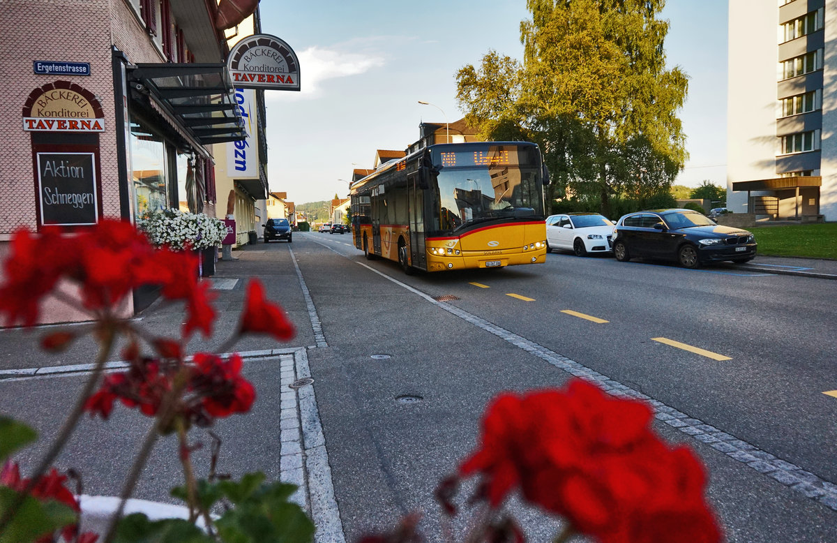 Ein SOLARIS Urbino von PostAuto, unterwegs auf der Linie 80.740, als Kurs 74035 (Bischofszell Stadt, Bahnhof - Uzwil, Bahnhof).
Aufgenommen am 18.7.2016, nahe der Haltestelle Niederuzwil, Augarten.
