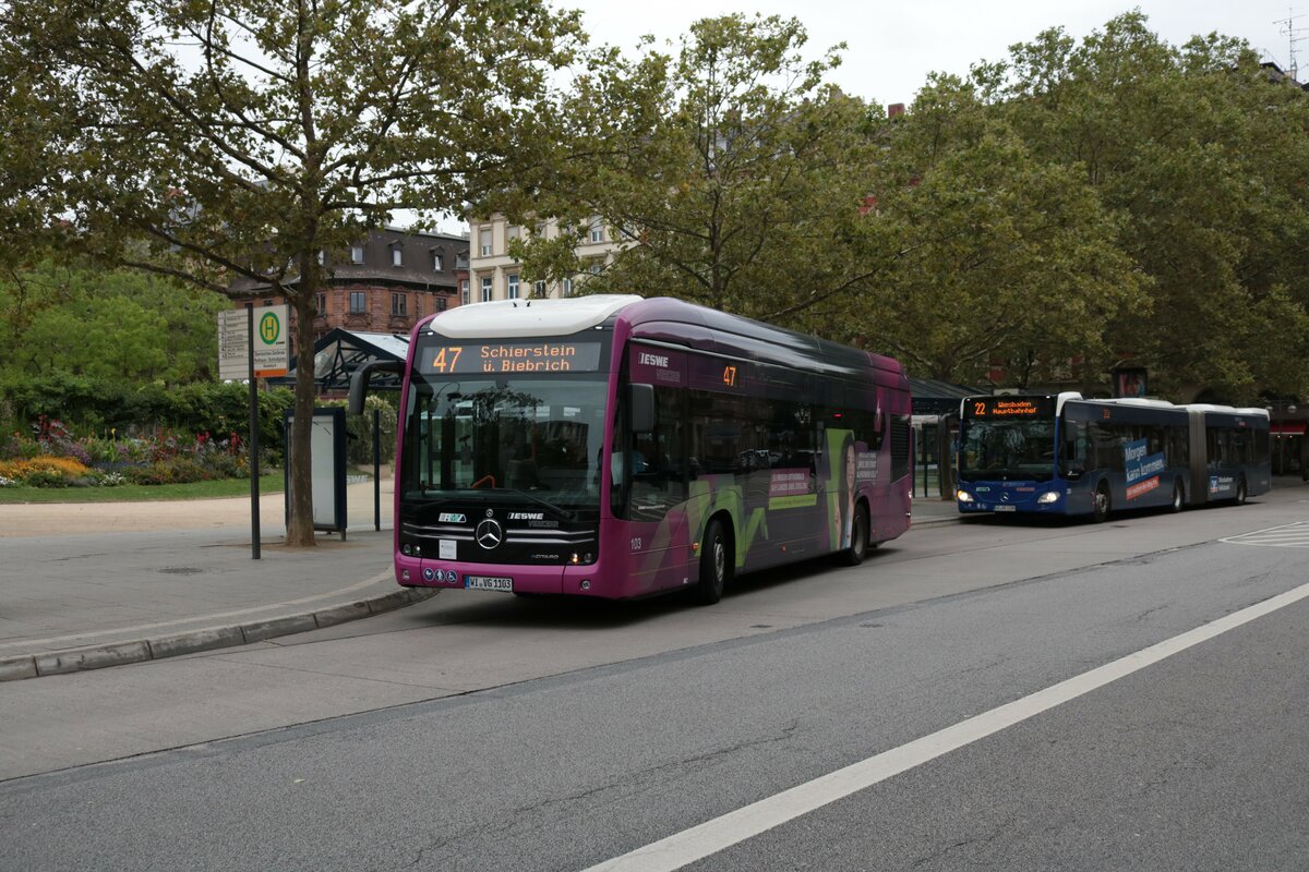 ESWE Verkehr Mercedes Benz eCitaro Wagen 103 am 17.08.21 in Wiesbaden