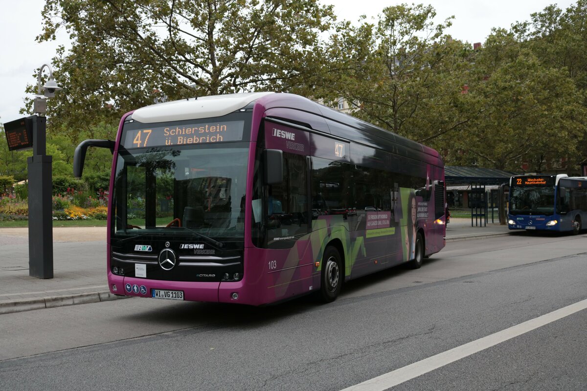 ESWE Verkehr Mercedes Benz eCitaro Wagen 103 am 17.08.21 in Wiesbaden