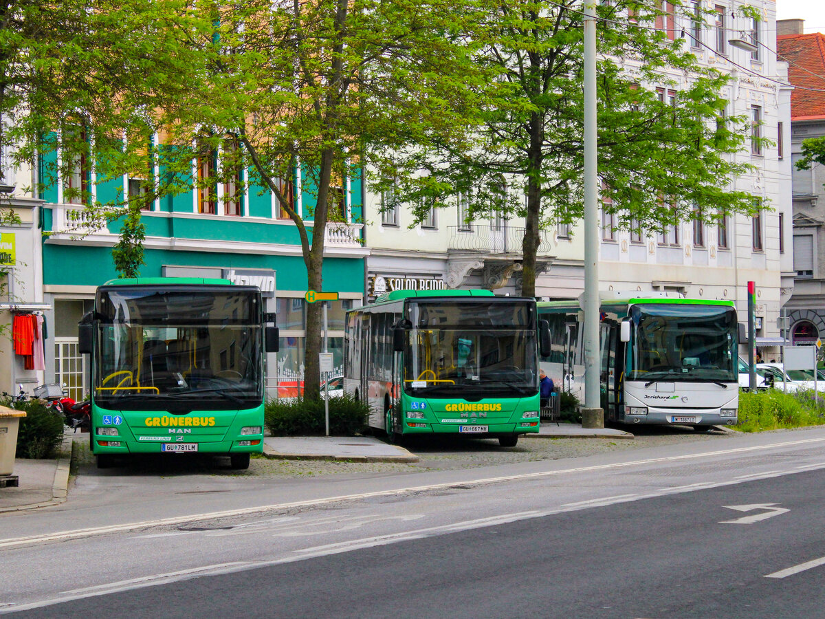 Graz. Am 31.05.2023 konnte ich zwei Grünerbus MAN Lion's City sowie einen IrisbusCrossway von Dr. Richard am Griesplatz fotografieren.