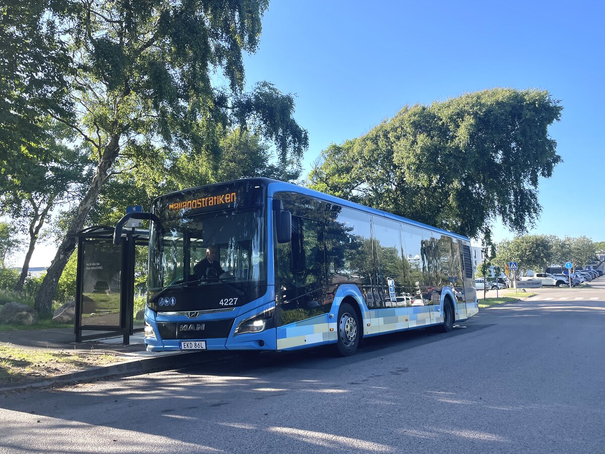 Hallandstrafiken / Nobina,  Halmstad. MAN Lion's City 12 (Nr. 4227) in Tyl�sand. (24.6.2026)