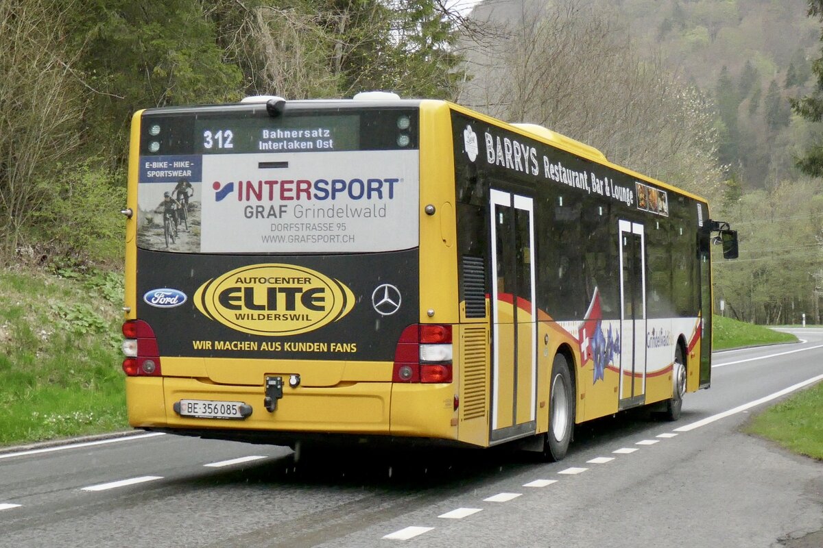 Heckansicht des MAN Lions City  BE 356 085  von GrindelwaldBus am 23.4.23 bei Zweilütschinen.