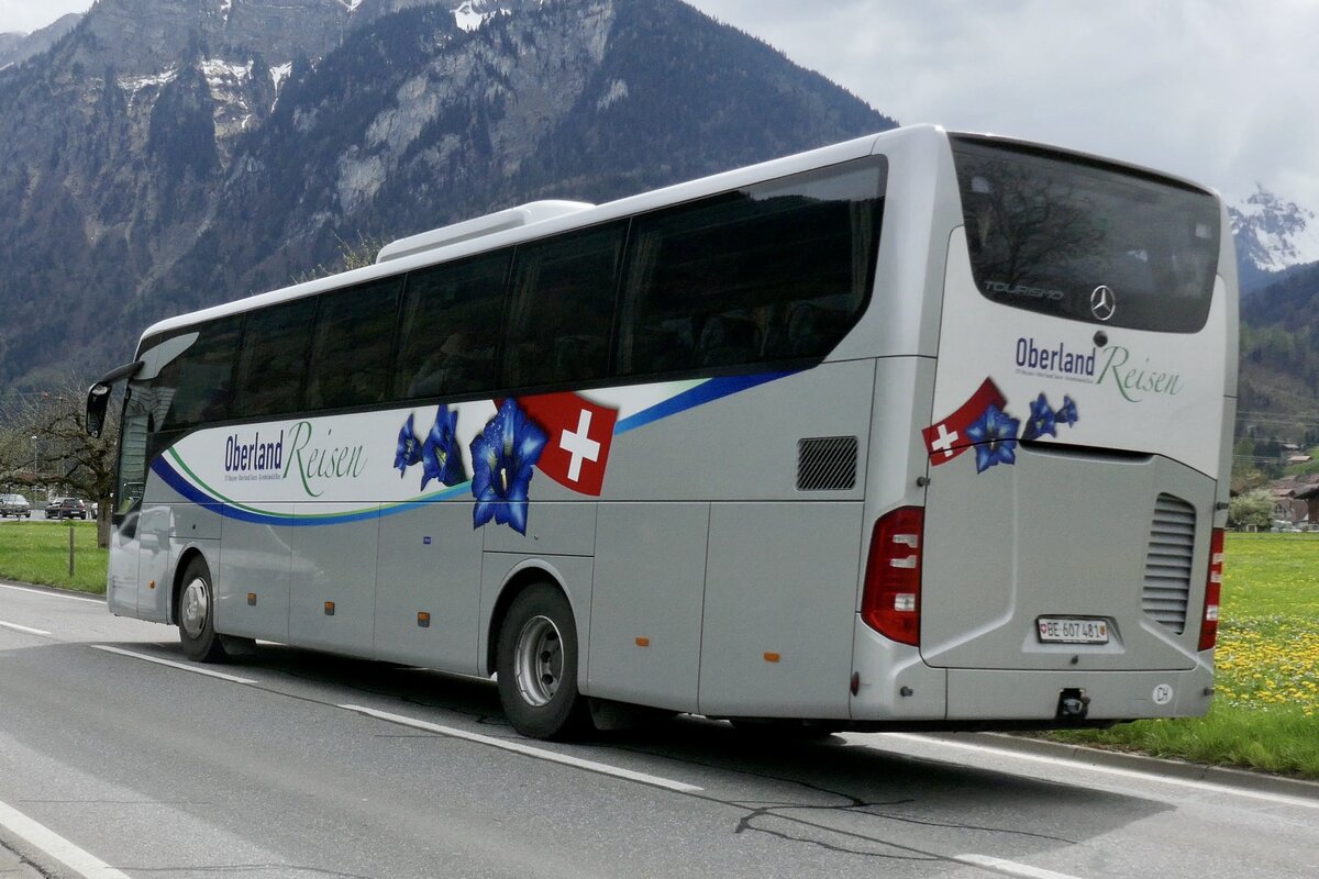 Heckansicht des MB Tourismo  BE 607 481  von OberlandReisen am 23.4.23 in Wilderswil.