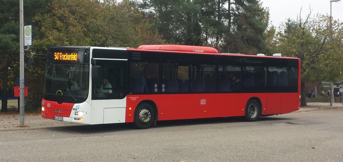 Hier ist der MZ DB 2108 von der DB Regio Bus Mitte (ex Rheinpaflzbus, Ludwigshafen) auf der Buslinie 547 nach Freckenfeld unterwegs. Gesichtet am 30.10.2018 am Schulzentrum in Bad Bergzabern.