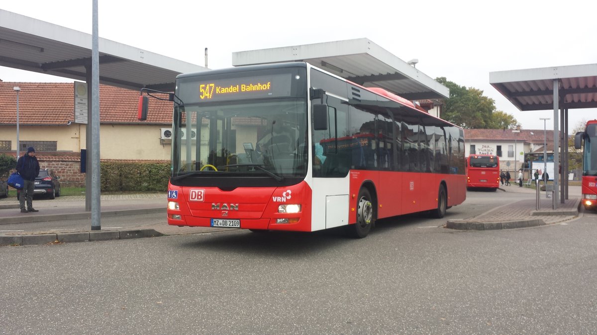 Hier ist der MZ DB 2109 von der DB Regio Bus Mitte auf der Buslinie 547 nach Kandel Bahnhof unterwegs. Gesichtet am 29.10.2018 am Bahnhof Bad Bergzabern.
