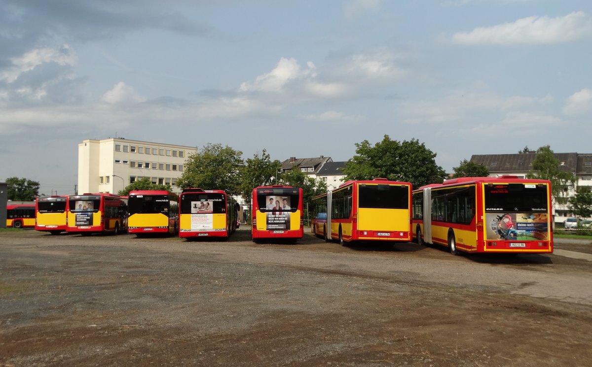 HSB Bus Parade von hinten am 26.08.17 beim Tag der offenen Tür der Hanauer Straßenbahn 