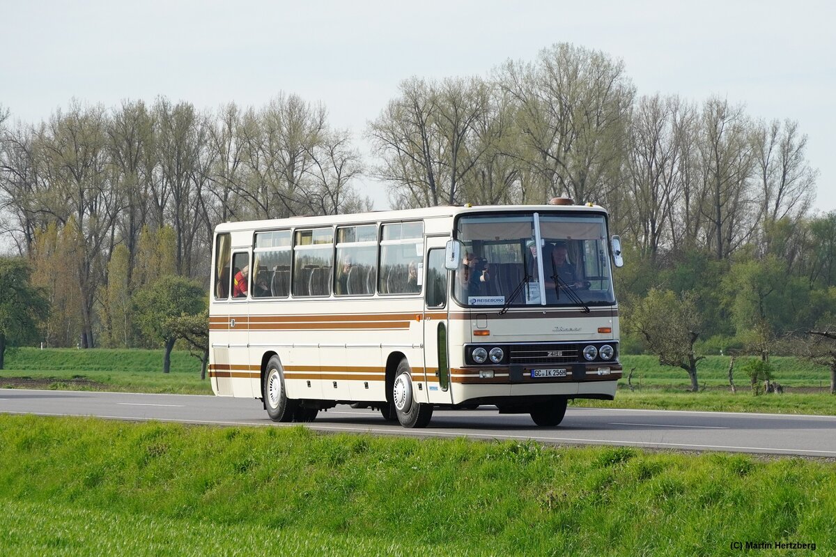 Ikarus 256.50V Bj. 1983  Oldikarus Wolf , 6. Europatreffen historischer Omnibusse in Sinsheim/Speyer April 2023