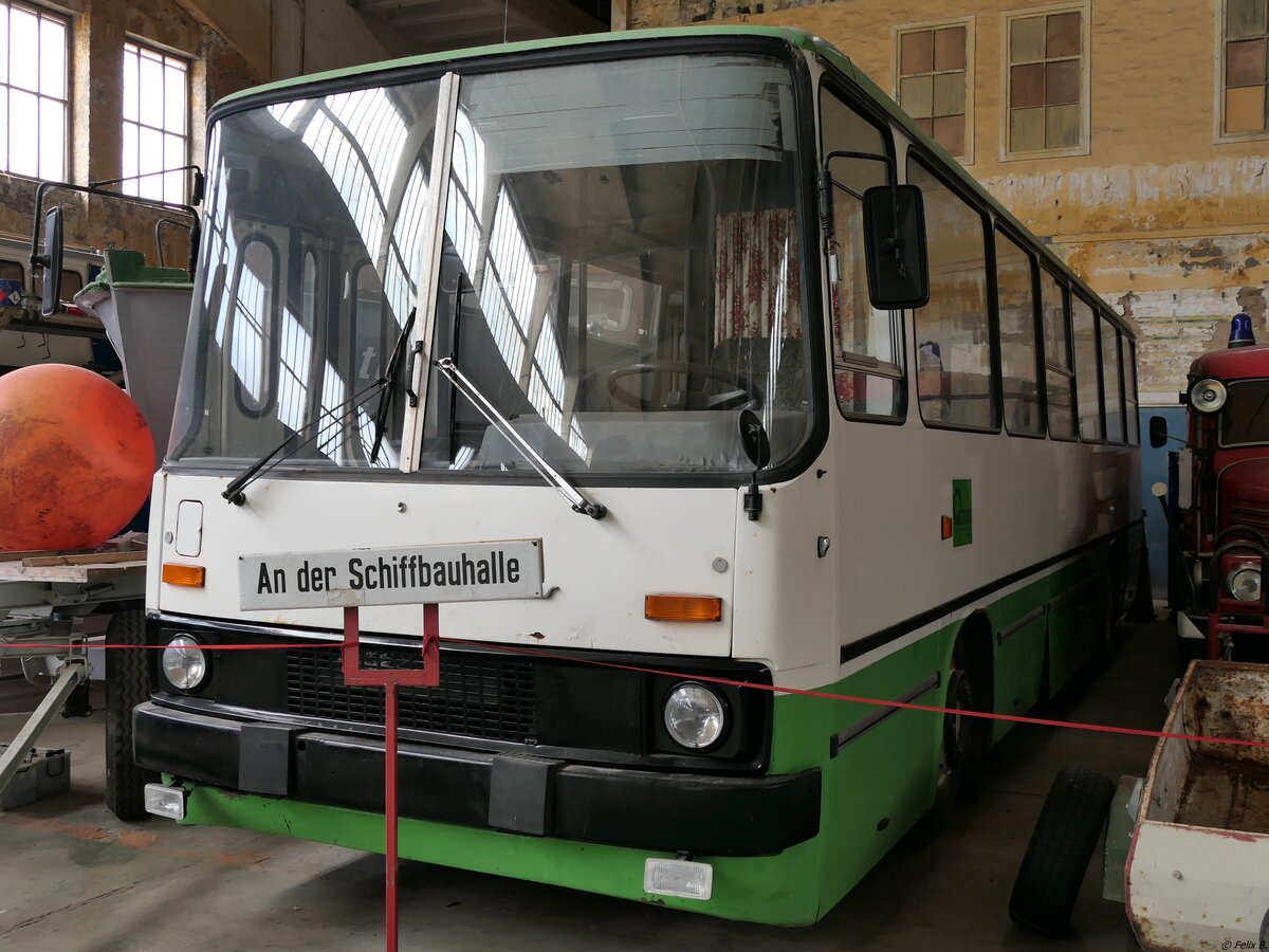 Ikarus 260 (exex Kraftverkehr Halle (Saale) - VG 64-74, ex Q-Bus Nahverkehrsgesellschaft mbH Ballenstedt QLB-NA 27) vom Technikmuseum Pütnitz in Pütnitz am 04.07.2021