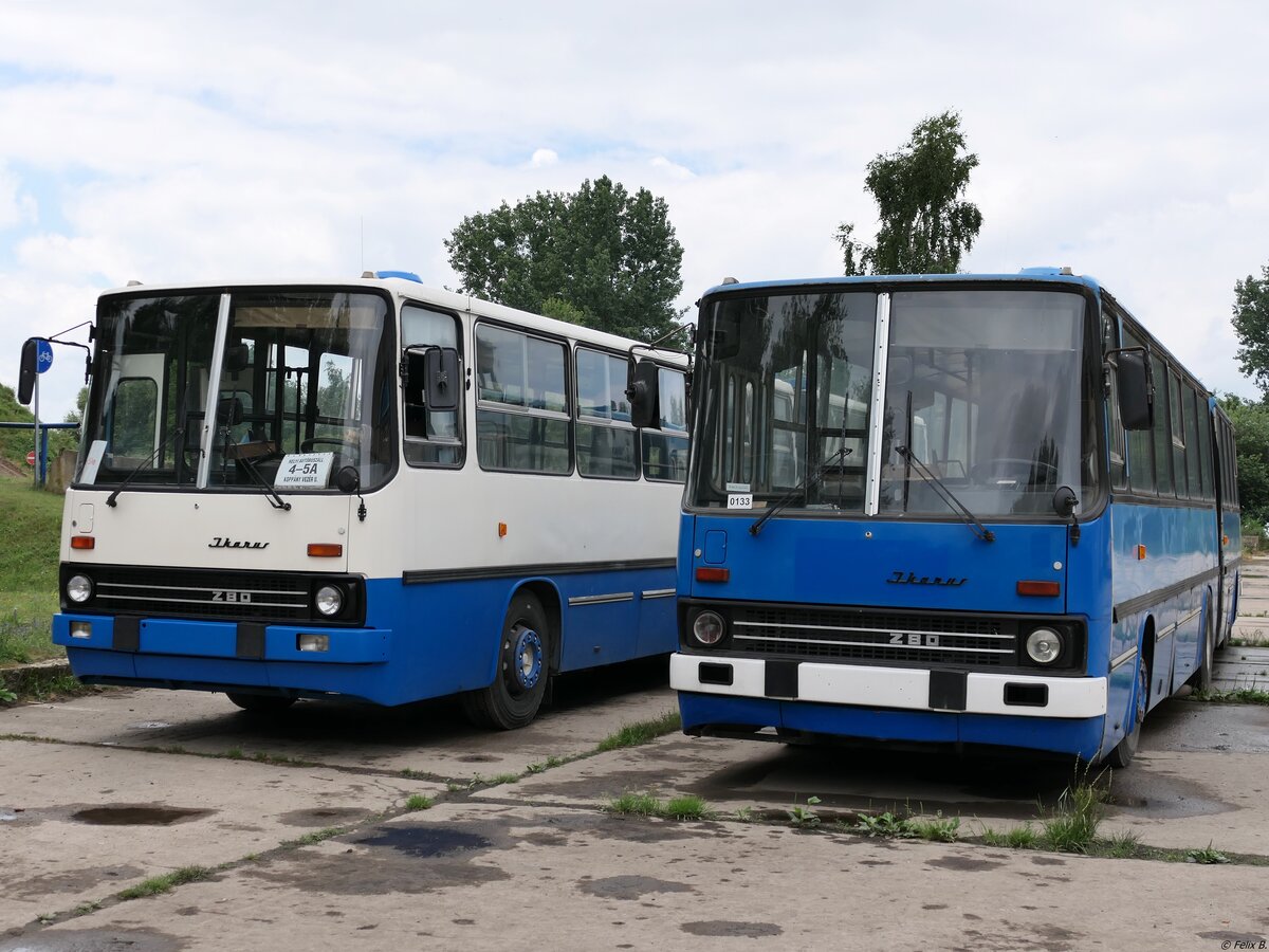 Ikarus 280 vom Technikmuseum Pütnitz (exex Kapos Volán Zrt. (BY 64-60), ex Kaposvári Közlekedési Zrt. (BRS-306)) und Ikarus 280 vom Technikmuseum Pütnitz (exex Verkehrsgesellschaft Görlitz-Niesky mbH, ex Kaposvári Közlekedési Zrt. (CCT-434)) in Pütnitz am 04.07.2021