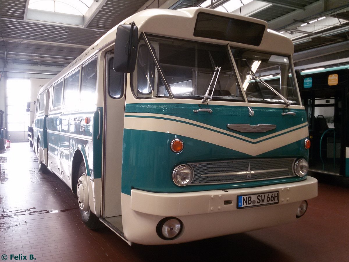 Ikarus 66 der Neubrandenburger Verkehrsbetriebe in Neubrandenburg am 09.11.2016