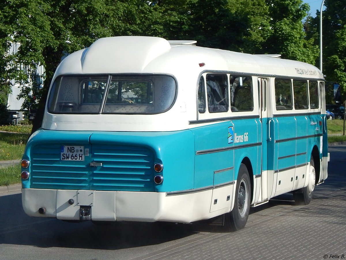 Ikarus 66 der Neubrandenburger Verkehrsbetriebe in Neubrandenburg am 21.05.2017