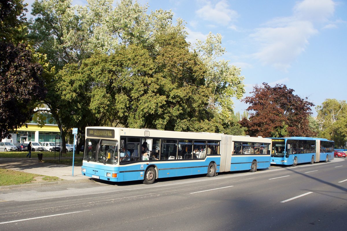 Kroatien / Bus Zagreb / Autobus Zagreb / Zagrebački Električni Tramvaj (ZET): MAN NG - Wagen 151, aufgenommen im Oktober 2017 an der Haltestelle  Središće  im Stadtgebiet von Zagreb.