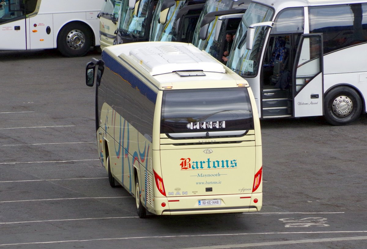 MAN Beulas Reisebus im Hafen von Dublin am 03.06.17