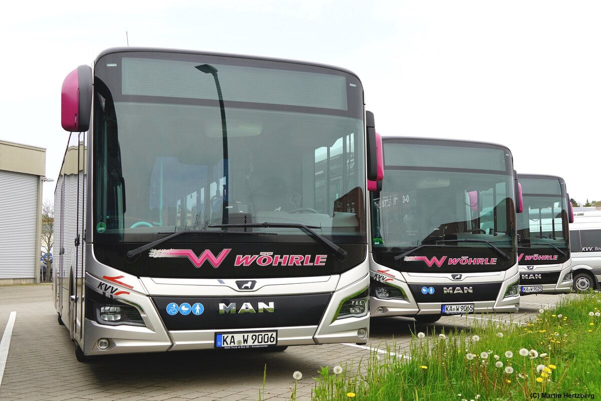 MAN Lion's City 12 Hybrid  Wöhrle , Oberderdingen April 2024