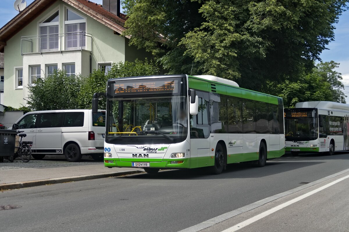 MAN Lion's City von Albus Salzburg (Bus L1016, S-241VB) als Linie 23 an der Haltestelle Salzburg, Quartier Riedenburg. Aufgenommen 1.6.2022.