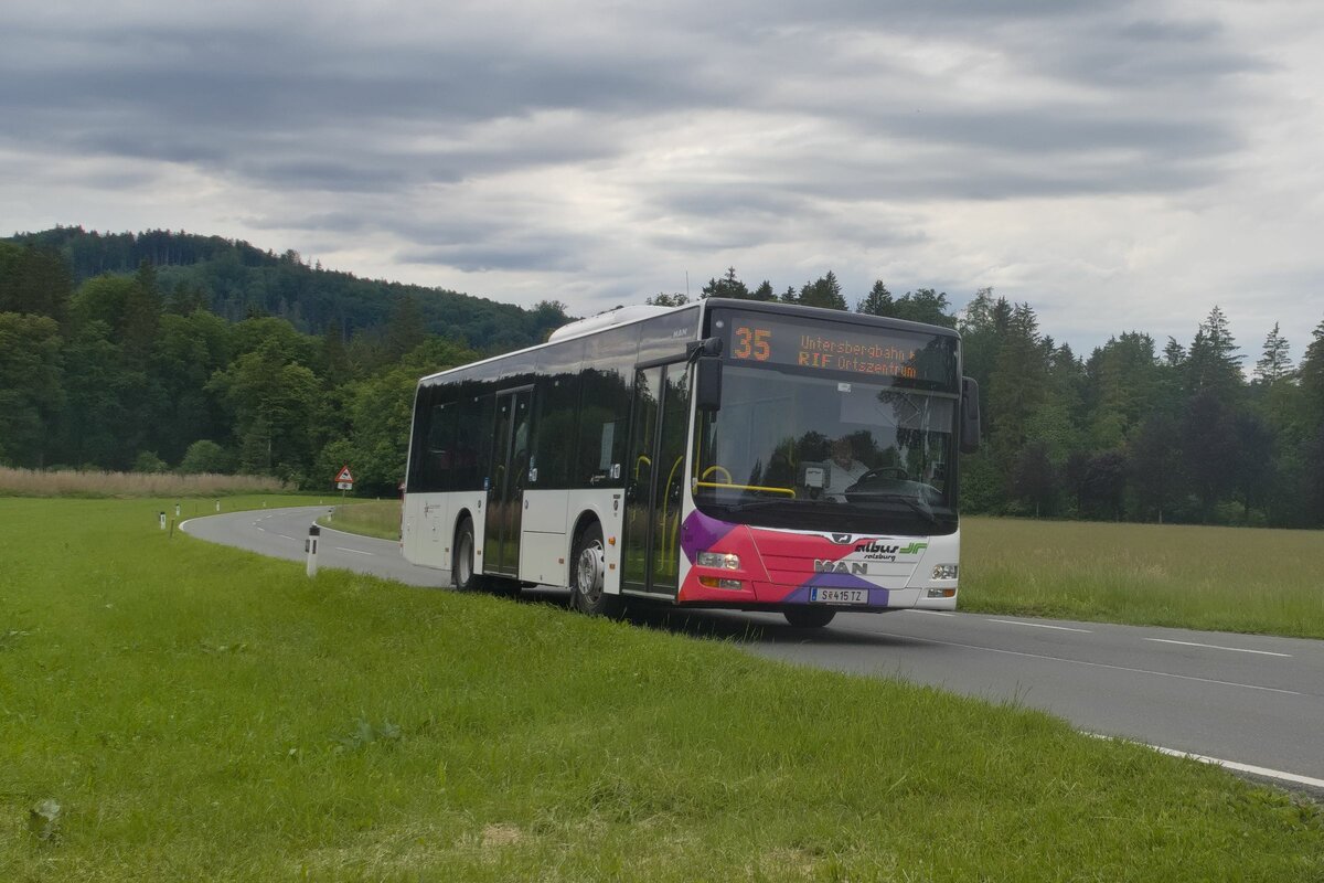 MAN Lion's City von Albus Salzburg (Bus L1024, S-415TZ) als Linie 35 bei der Haltestelle Glanegg Schloss. Aufgenommen 1.6.2022.