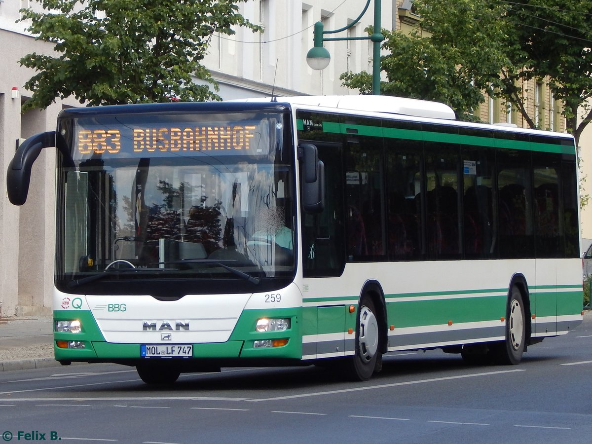 MAN Lion's City der Barnimer Busgesellschaft in Eberswalde am 09.06.2016