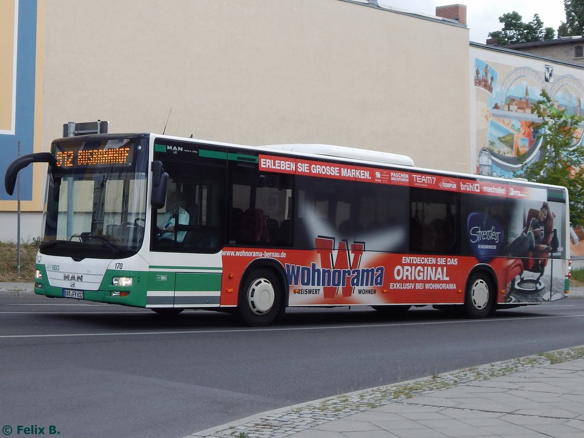 MAN Lion's City der Barnimer Busgesellschaft in Eberswalde am 09.06.2016