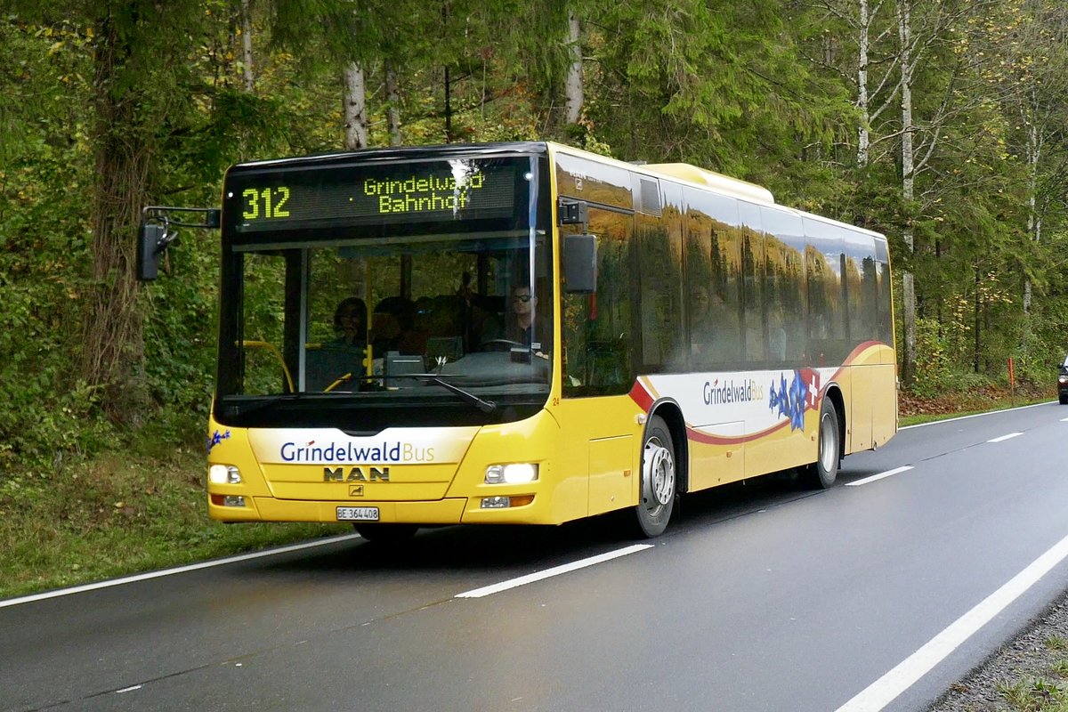 MAN Lions City 'BE 364 408' von Grindelwald Bus am 2.11.19 als Bahnersatz zum Bahnhof Zweilütschinen, bei der Abzweigung Zweilütschinen.