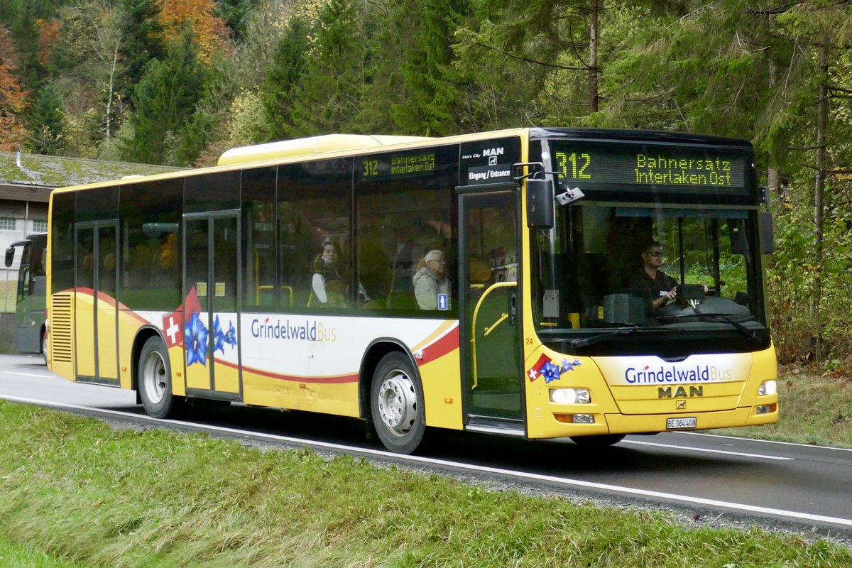 MAN Lions City 'BE 364 408' von Grindelwald Bus als Bahnersatz von Zweilütschinen nach Interlaken Ost, am 2.11.19 bei der Abzweigung Zweilütschinen.