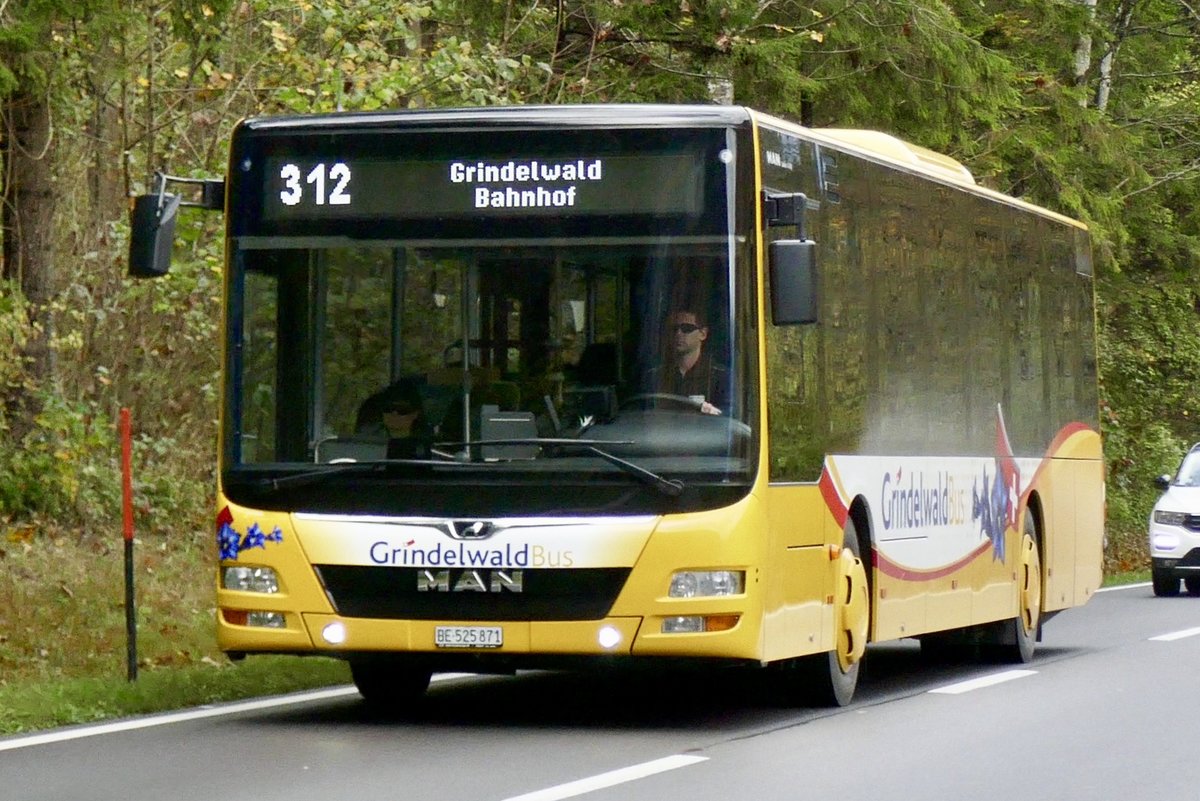 MAN Lions City 'BE 525 871' von Grindelwald Bus als Bahnersatz mit Reisenden nach Grindelwald bis zum Bahnhof Zweilütschinen, am 2.11.19 bei der Abzweigung Zweilütschinen.