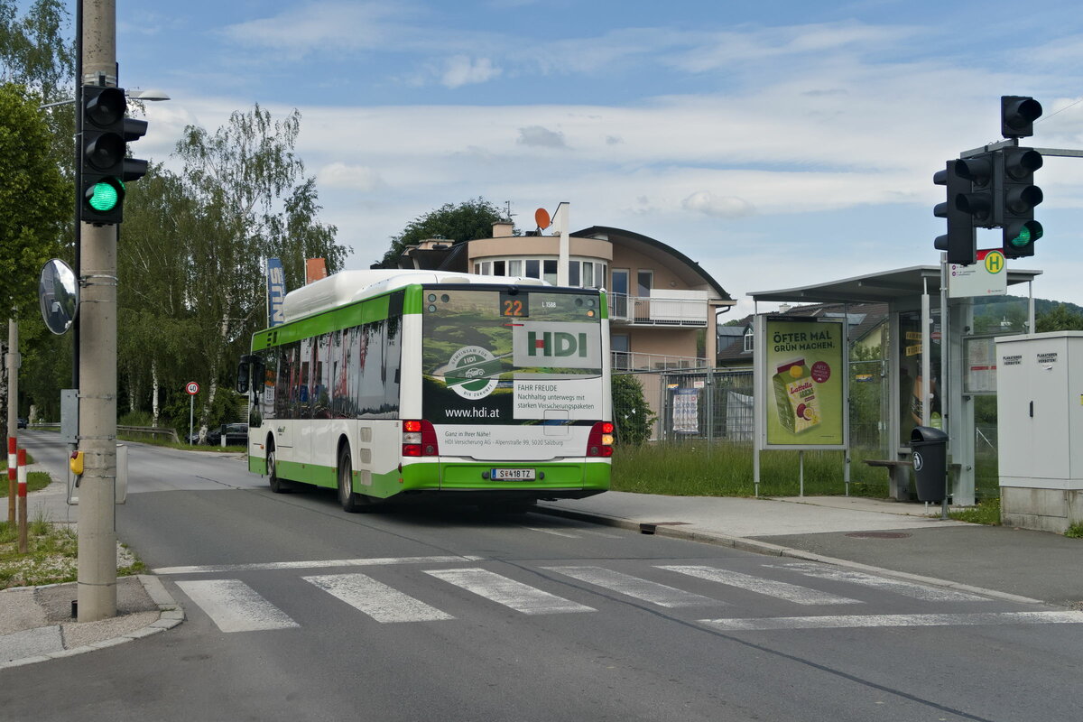 MAN Lion's City CNG von Albus Salzburg (Bus L1588, S-418TZ) als Linie 22 bei der Haltestelle Salzburg, Firmianstraße. Aufgenommen 1.6.2022.