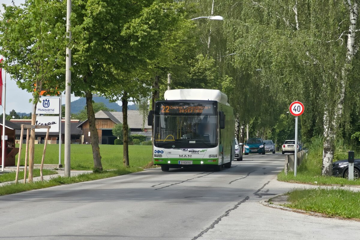 MAN Lion's City CNG von Albus Salzburg (Bus L1563, S-628VA) als Linie 22 in Anfahrt auf die Haltestelle Salzburg, Firmianstraße. Aufgenommen 1.6.2022.