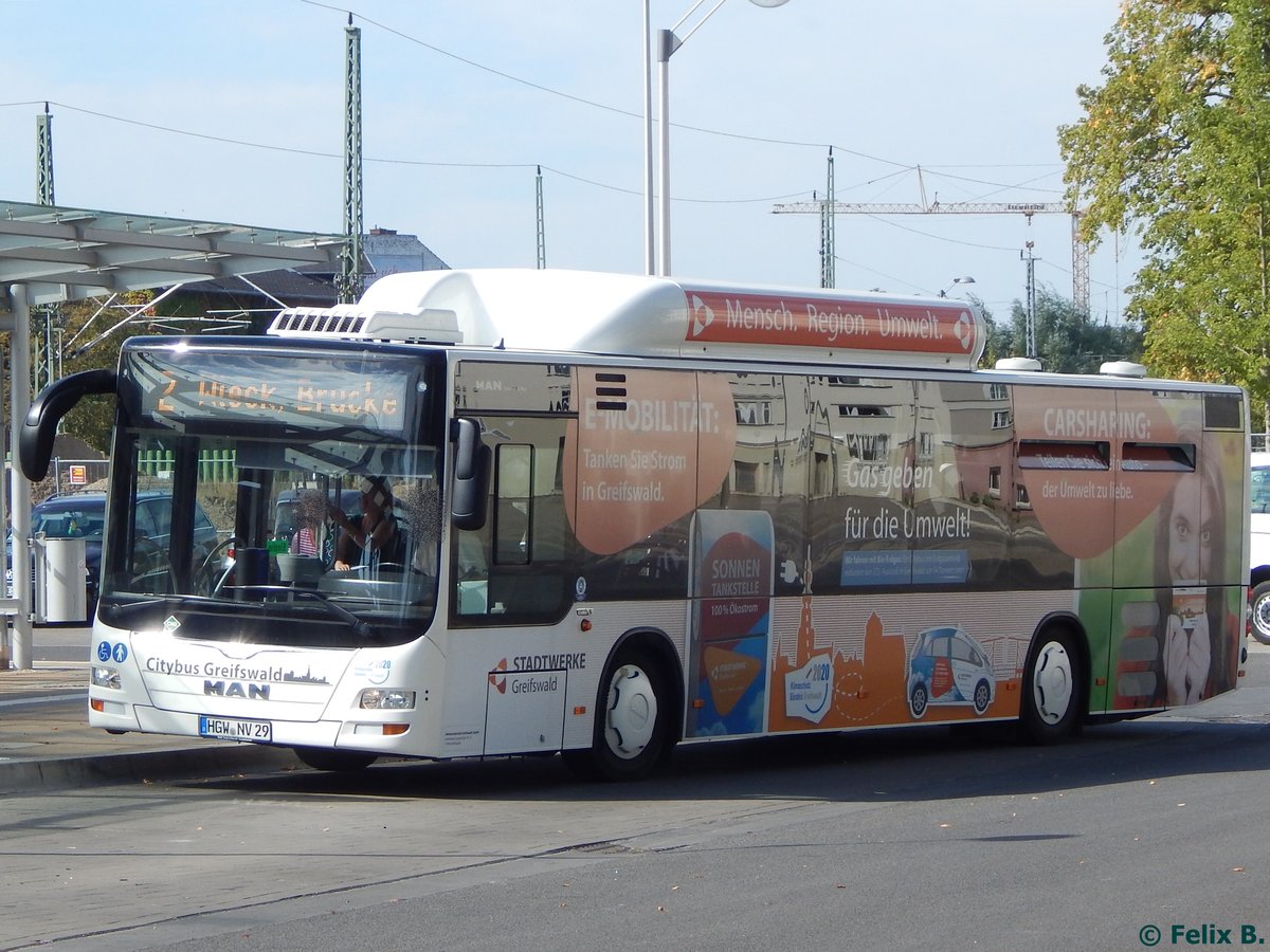 MAN Lion's City CNG der Stadtwerke Greifswald in Greifswald am 16.09.2016