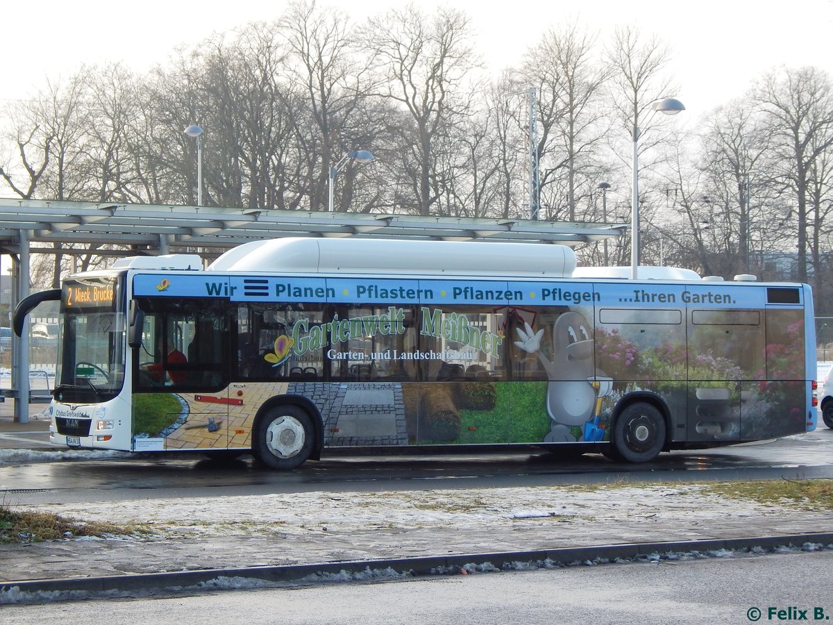 MAN Lion's City CNG der Stadtwerke Greifswald in Greifswald am 20.01.2017