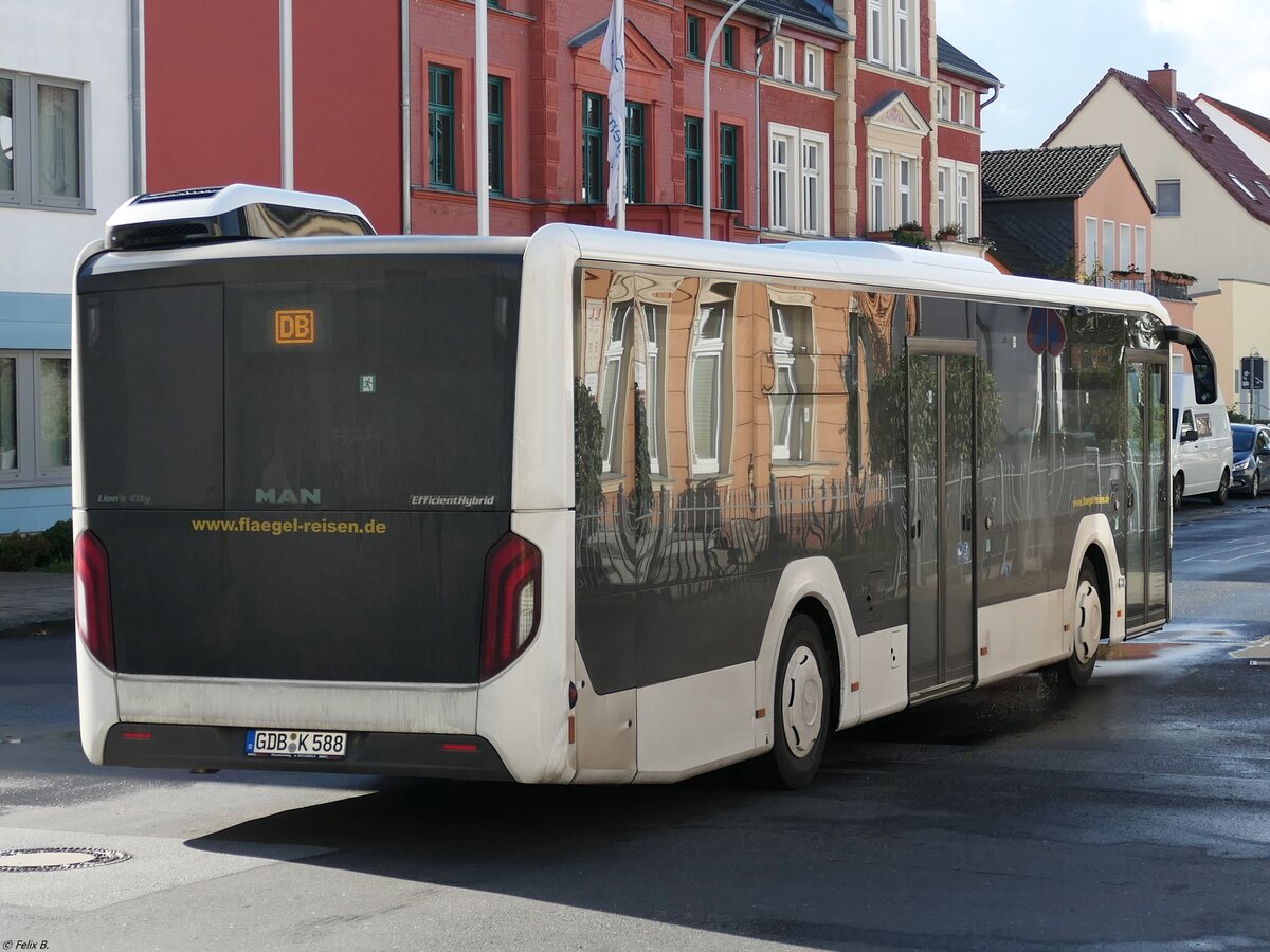 MAN Lion's City EfficientHybrid von Flaegel Reisen aus Deutschland in Neubrandenburg am 10.10.2020