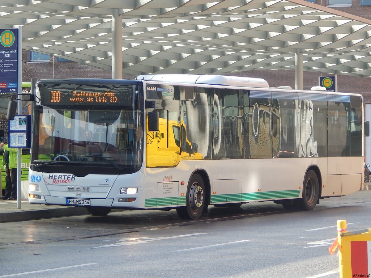 MAN Lion's City von Herter Reisen aus Deutschland in Hannover am 24.09.2018