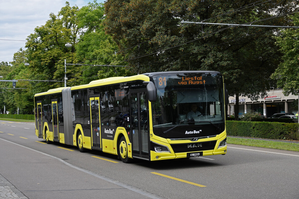 MAN Lions City Hybridbus 75 der AAGL, auf der Linie 81, fährt am 15.08.2023 zur Haltestelle beim Hammermann am Aeschenplatz.