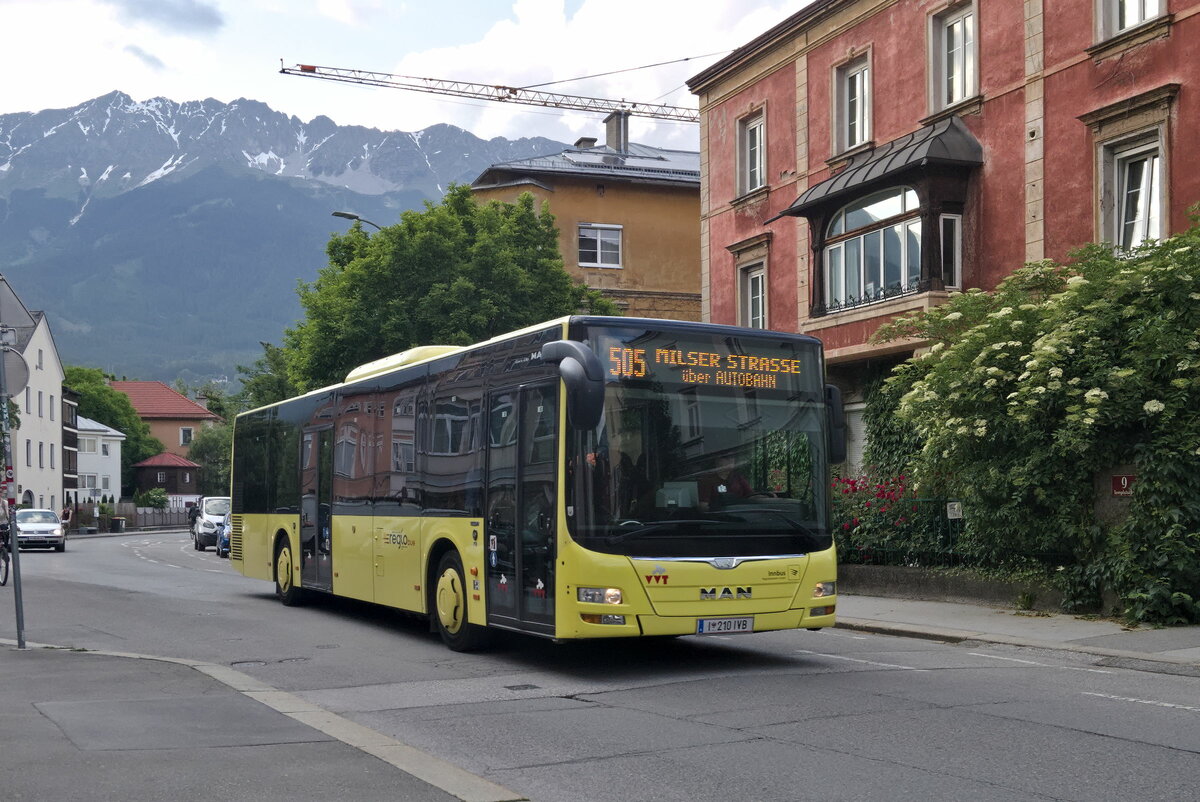MAN Lion's City von Innbus/Innsbrucker Verkehrsbetriebe (Bus Nr. 210) als Linie 505 in Innsbruck, Templstraße. Aufgenommen 6.6.2023.