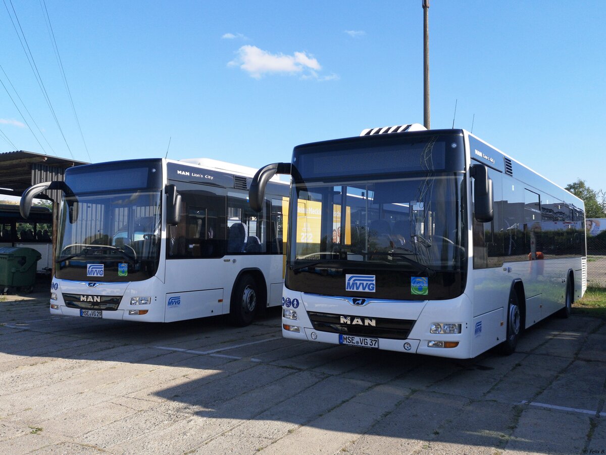 MAN Lion's City LE Ü der MVVG in Neubrandenburg am 31.08.2019